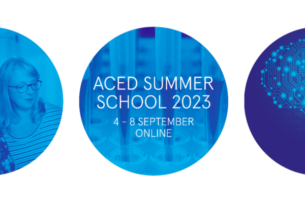 ACED summer school image link